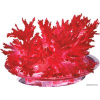 Набор для опытов Lori Лучистые кристаллы. Красный кристалл Лк-001