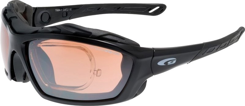 

Лыжи Goggle T664-1R