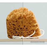 Душевая дверь Radaway Premium Plus DWJ 130 [33333-01-01N]