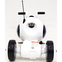 Электротрицикл RiverToys HL300 (белый)