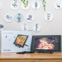 Графический монитор XP-Pen Artist 22E Pro
