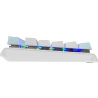 Клавиатура A4Tech Fstyler FS100 Neon (серебристый/голубой)