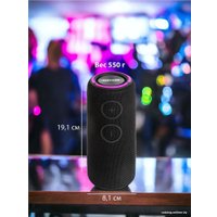 Беспроводная колонка Aiwa PAS-H200 (черный)