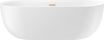 Ванна Wellsee Chic Riviera 170x76 236802004 (отдельностоящая ванна белый глянец, экран, ножки, сифон-автомат золото)