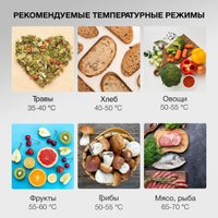 Сушилка для овощей и фруктов Hyundai HYFD-1204