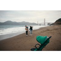 Коляска прогулочная «книга» Anex Air-x 2022 (green)