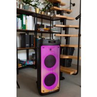 Патибокс Blaupunkt PB08DB