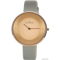 Наручные часы Skagen SKW2139