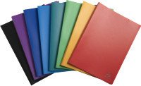 

Папка для бумаг Exacompta 8580E (ассорти)