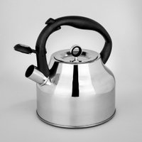 Чайник со свистком Agness 916-420