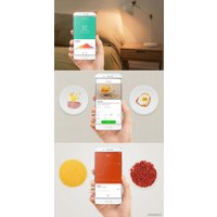 Рисоварка Xiaomi IHP Rice Cooker ZHF4009GL