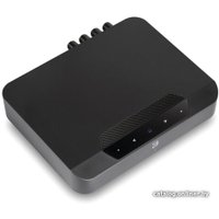 Сетевой усилитель Bluesound Powernode Edge (черный)