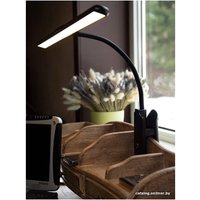 Настольная лампа Lucia Flex Accu Clip L555 (черный)