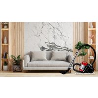 Пылесос MPM MOD-60