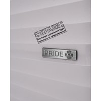 Чемодан-спиннер Pride РР-9702 (M, светло-зеленый)