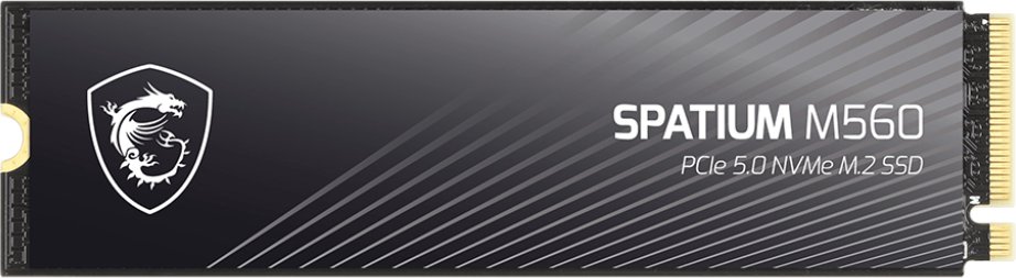 

SSD MSI Spatium M560 1TB S78-440L0F0-P83