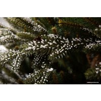 Ель GreenTerra Квебек 2.2 м