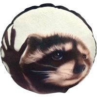 Игрушка-подушка Мальвина Енот Педро в Бресте