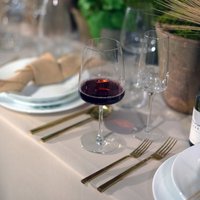 Набор бокалов для красного вина Bormioli Rocco Planeo 3.65749-4 (4шт)