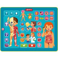 Развивающая игрушка Азбукварик Тело человека. Планшетик 3355