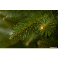 Ель GreenTerra Бовари 1.5 м