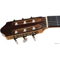 Акустическая гитара Kremona F65C