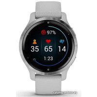 Умные часы Garmin Venu 2S (нержавеющая сталь/серый)