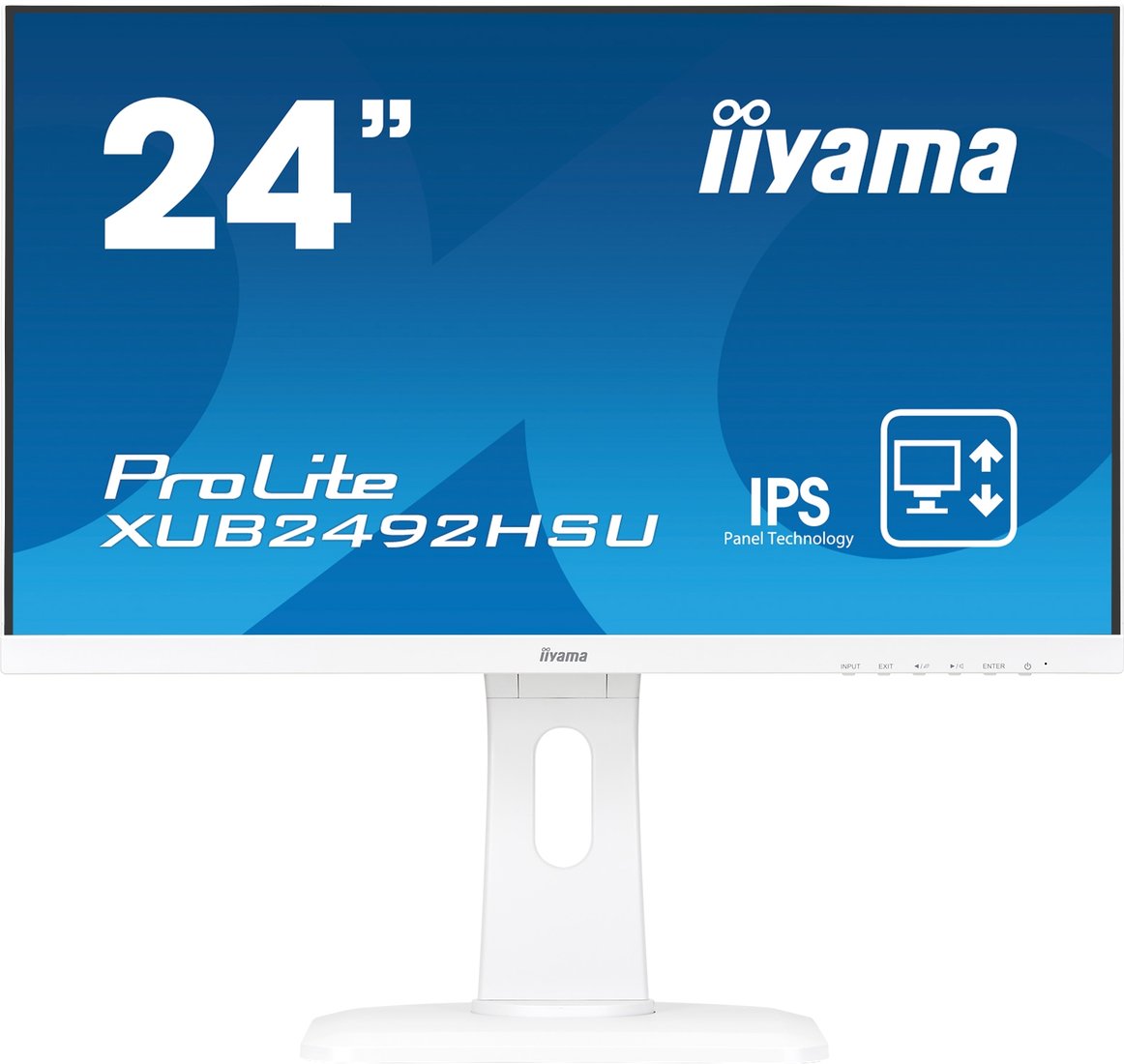 

Монитор Iiyama ProLite XUB2492HSU-W1