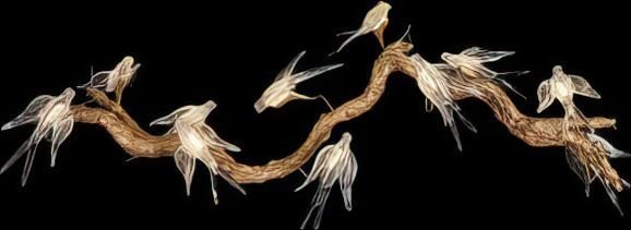 

Подвесная люстра Wertmark Viviana WE183.11.503