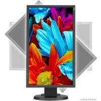 Монитор NEC MultiSync E224Wi Black/Black