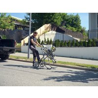 Станина Ryobi RLSW01 5133004826