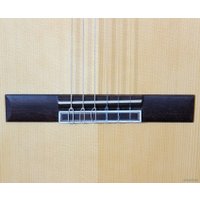 Акустическая гитара Camps SP-6-S