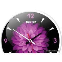 Настенные часы CENTEK CT-7104 Flower