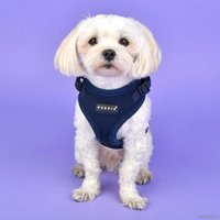 Шлейка Puppia Ritefit PAJA-AC617-NY-XL (темно/синий)