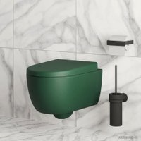 Сиденье для унитаза Ambassador Abner 102T20701 (зеленый матовый)