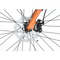 Велосипед Shulz Lone Ranger L 2025 (глина) в Витебске