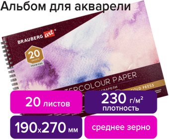 BRAUBERG Art Premiere 113215 (20 л)