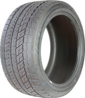 Ice Protection 285/35R22 106H