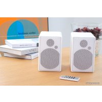 Полочная акустика Blue Aura WS80i (белый)