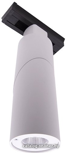 Точечный светильник DesignLed LDT-RWT-10W-WW