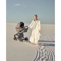 Универсальная коляска Anex E/type 2022 (2 в 1, gothic et-03A)