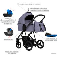 Универсальная коляска BEBETTO Flavio PRO (2 в 1, 05)