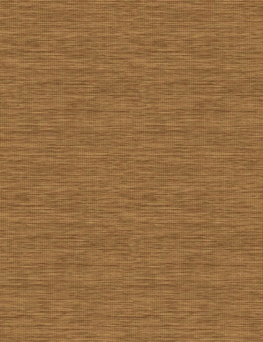 

Мини рулонные шторы Delfa СРШ 01МПД312306 115x170 (клен, рисунок премиум deste)