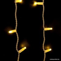 Световой дождь Евросвет 200-101 a056077 (теплый белый)