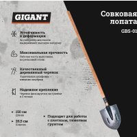 Лопата штыковая остроконечная Gigant GBS-01