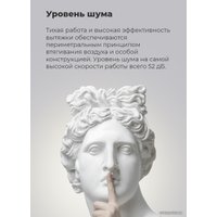 Кухонная вытяжка MAUNFELD Lee Isla 39 (черный)