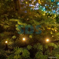 Светодиодная гирлянда Neon-Night «Дюраплей LED» 315-216