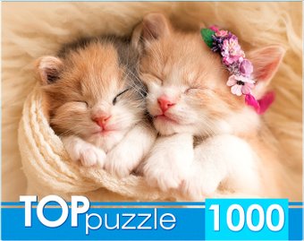 Рыжий кот Два спящих котенка