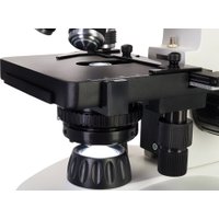 Микроскоп Levenhuk Discovery Atto Polar с книгой 77992