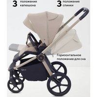 Универсальная коляска Rant Flex Therm RA112 (2 в 1, sandy beige)